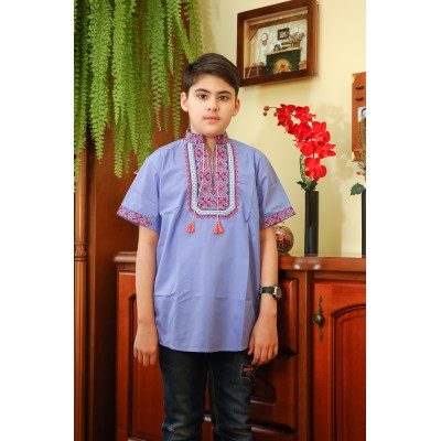 Embroidered shirt for boy "Defender"